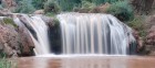 DSC_0360y.jpg